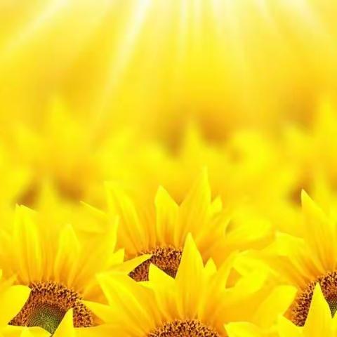 漫步云端的美篇