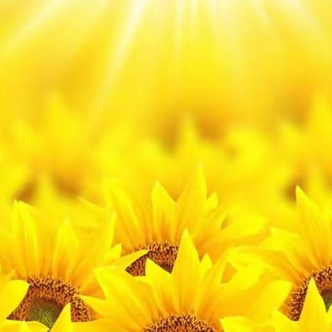 知识改变命运，梦想创造未来！新学期新气象！三年三班的孩子们走向智慧，做最好的自己！