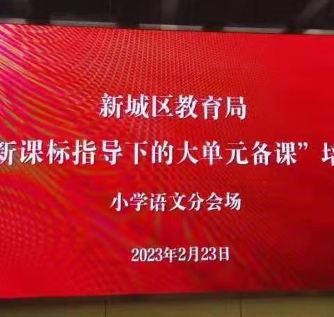 教研新起航，筑梦新篇章——新城区教育局“新课标指导下的大单元备课”三四年级教材培训活动