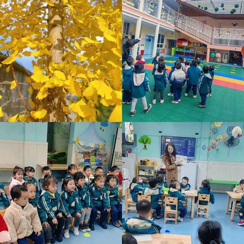 成都高新区中和宝宝幼儿园：暖冬——“杏”好有你