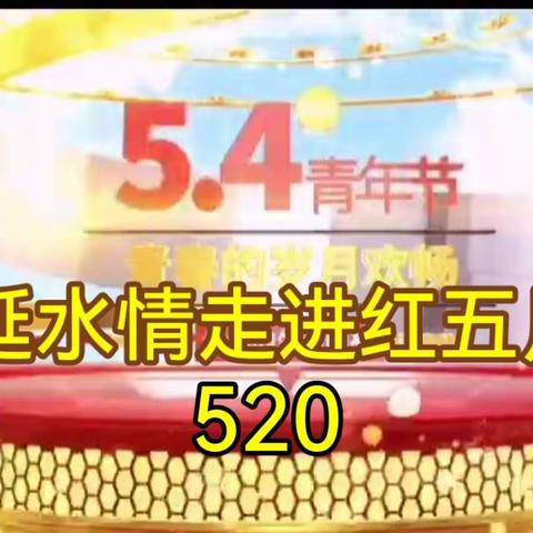 张亚雷的美篇，2022年5月20日，一场知青自己的晚会