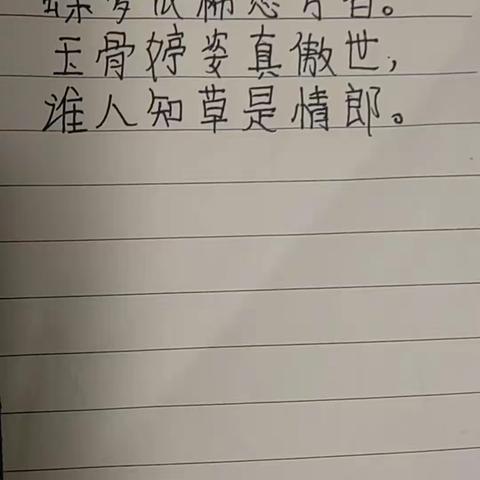 春日可爱