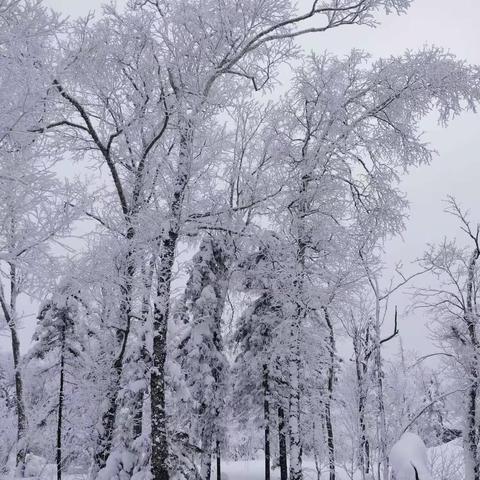 郑州的第一场雪