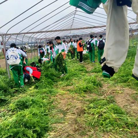 ↱八五班研学之旅↲