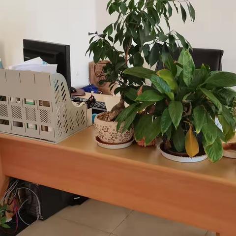水是生命之源