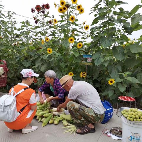 短途旅游