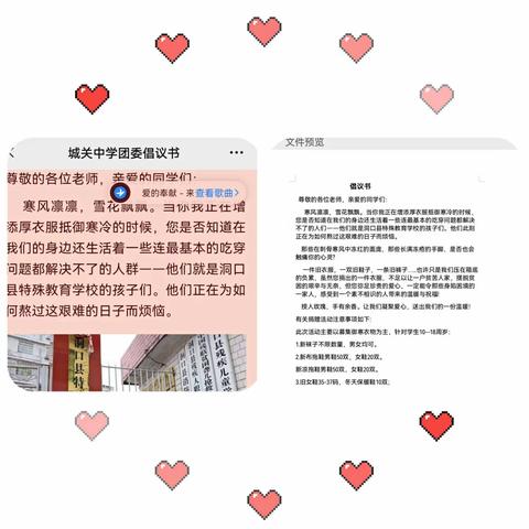 “党建引领显真情，爱心捐赠暖人心”———记洞口县城关中学青年志愿者活动