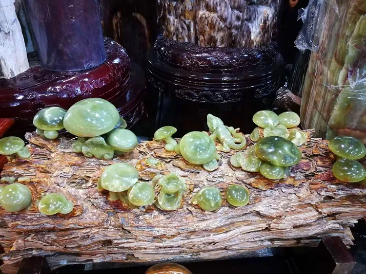 玉蘑菇长在树化玉上