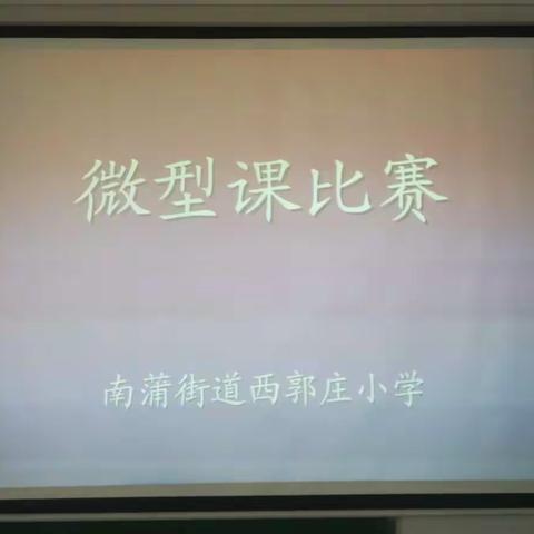 课微不小 效微不薄——南蒲街道西郭庄小学教师微型课展示