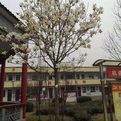 教研员调研教学助提升——赵寨中心小学