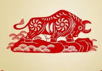 寒假感想与收获——王意宣