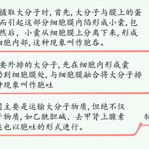 一萧烟雨的美篇