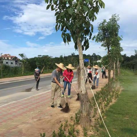 兴隆综合执法服务管理局政务中心（打违办）配合物业办创卫工作日志