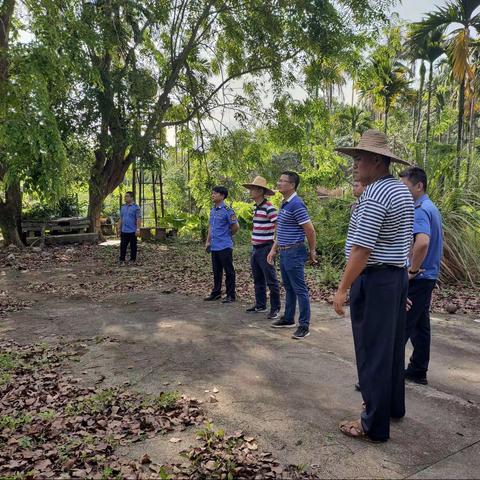 万宁市兴隆华侨旅游经济区联合多部门依法拆除5处违建房屋