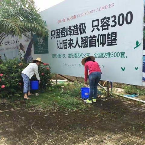 兴隆综合执法服务管理局政务中心（打违办）配合物业办创卫工作日志