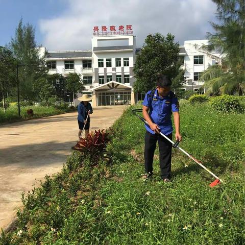 兴隆综合执法服务管理局政务中心（打违办）和党二支部创卫工作日志