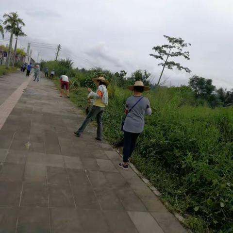 兴隆综合执法服务管理局政务中心（打违办）配合物业办创卫工作日志