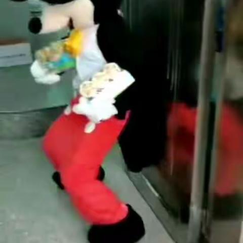 帆满海天阔，雏鹰展翅飞——2021届初三中考纪实