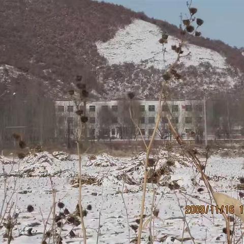 那个冬天
