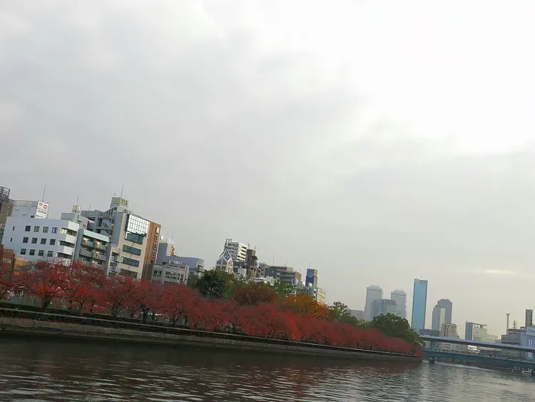 神户码头有网站吗_神户码头有网站吗多少钱