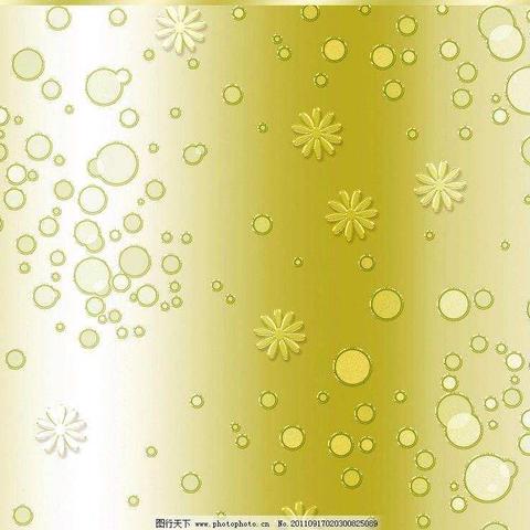 张语琪的寒假生活