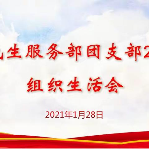 华云集团勤诚民生服务部团支部召开一季度团员大会暨2020年组织生活会