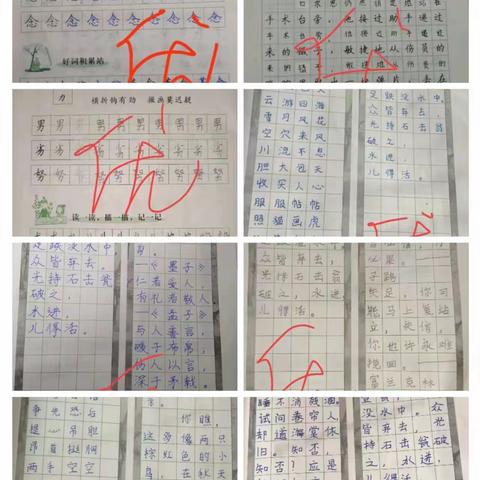 隔空的作业，别样的风采——新镇中心小学三二班作业展评