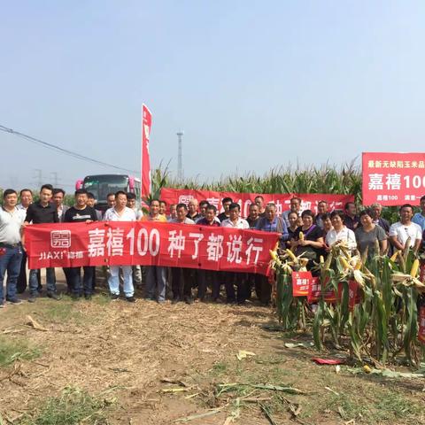 龙头大品种—嘉禧100单县田间观摩会及室内会议圆满成功！！！