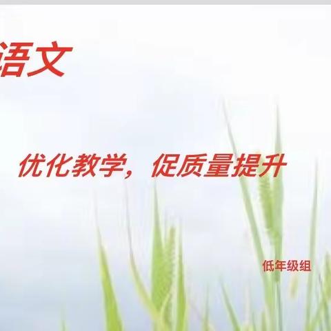 优化教学，促质量提升——李庄镇中心小学低年级组语文研讨