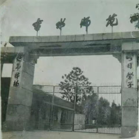 中师生
