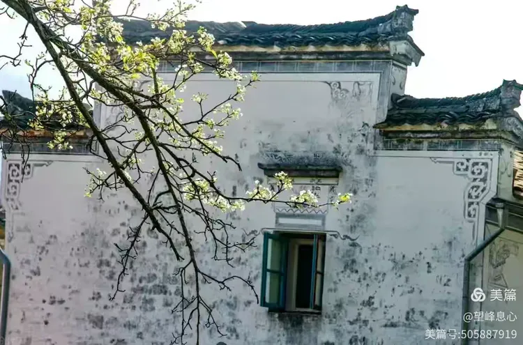 [图文]兰香吟 第 6 张