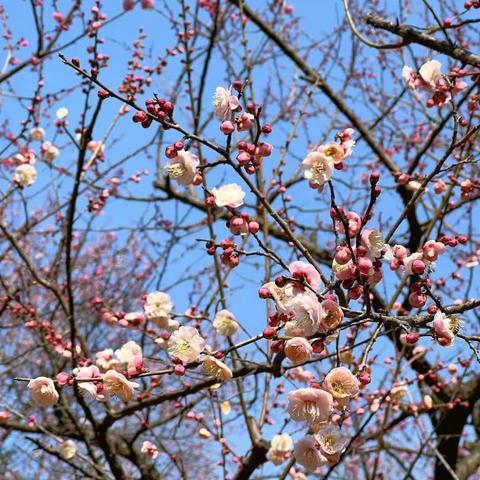 夏日养生秘诀大公开：让你清凉一夏，健康无忧！