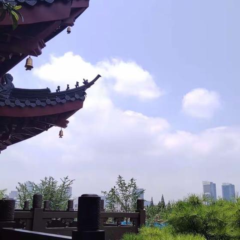 为学生和自己“缩缩水”