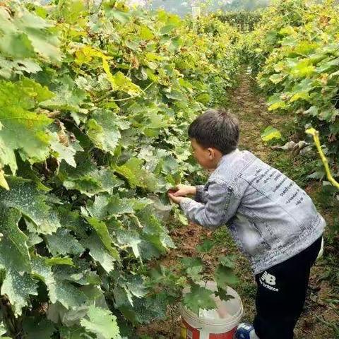 金秋十月，快乐假期