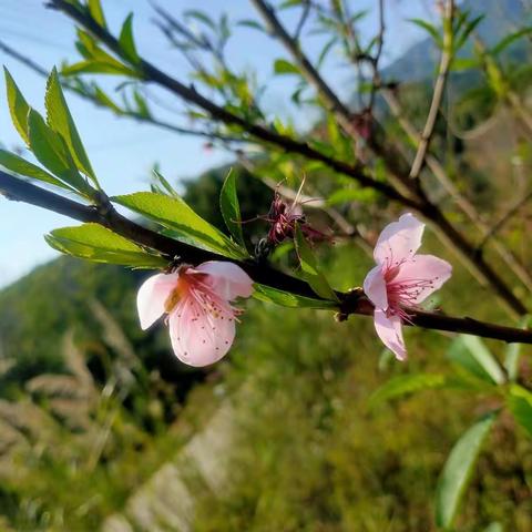 初春相见“幼”见美好♥——正星宝贝归园啦！