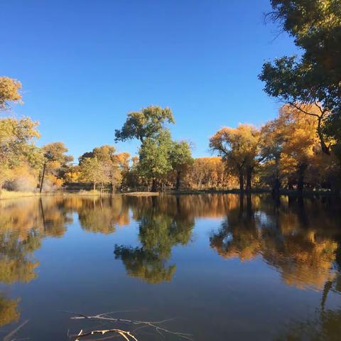 这里有上苍恩赐的阳光和蓝天，这里有美轮美奂的山川和风景。在这里，亲近历史脉搏；在这里，体验别样生活。
