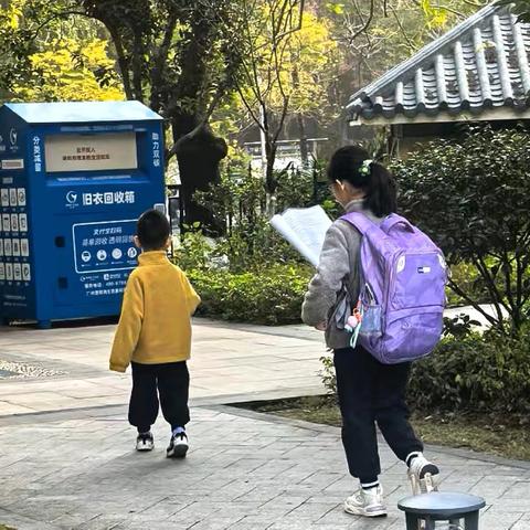 晨光逐途