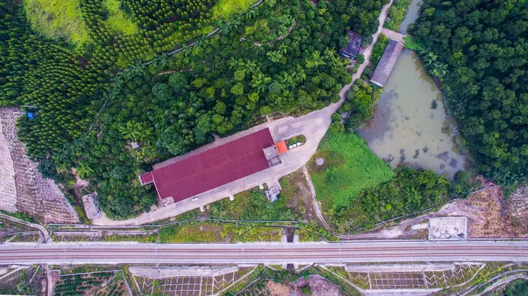 沃柑种植土壤要求