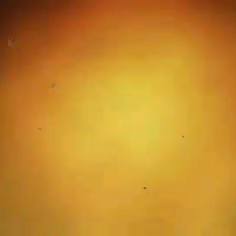 文登六中七七级二班同窗分别四十周年聚会