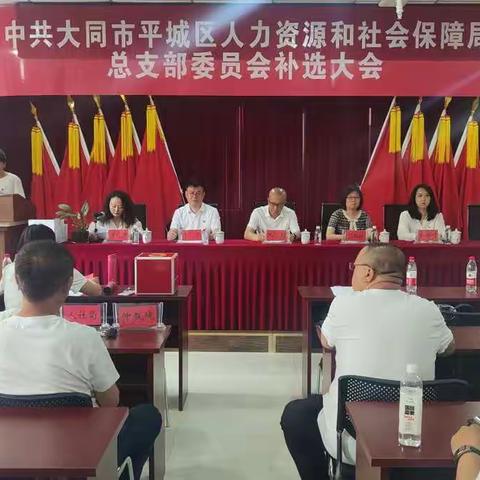 中共大同市平城区人力资源和社会保障局党总支部召开补选大会