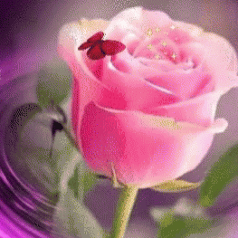 成长不延期 宅家也精彩——王良小学三年级的别样假期