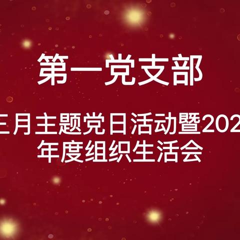 第一党支部开展3月支部主题党日活动暨2021年度组织生活会