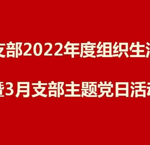 第一党支部开展2022年度组织生活会暨3月支部主题党日活动