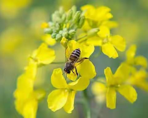 科学实践课——行走中的课堂