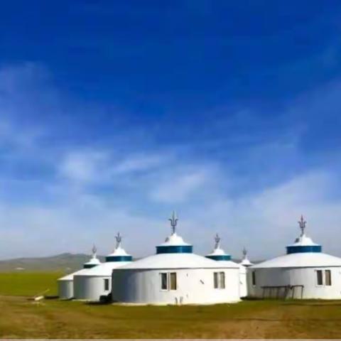 美丽的草原我的家