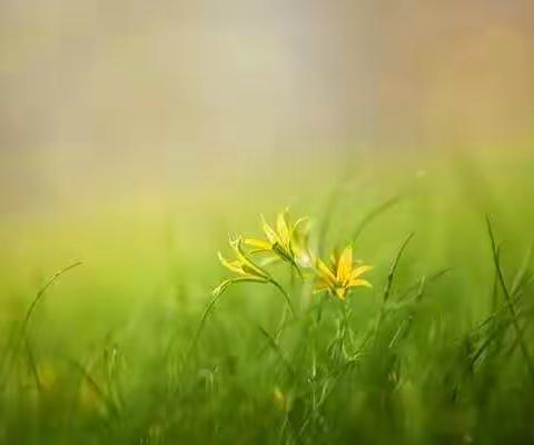 童心向党，播种希望 ------克一河小学校园科技节献礼建党百年