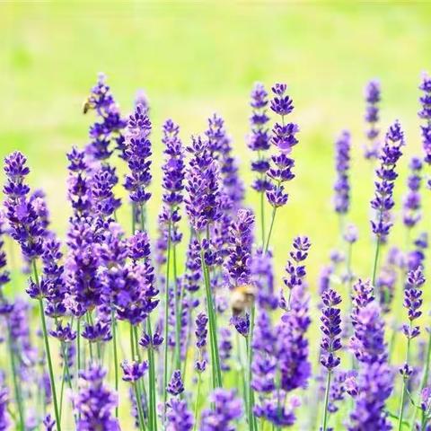 小模型  大梦想 ---记克一河小学科技社团模型拼装大赛