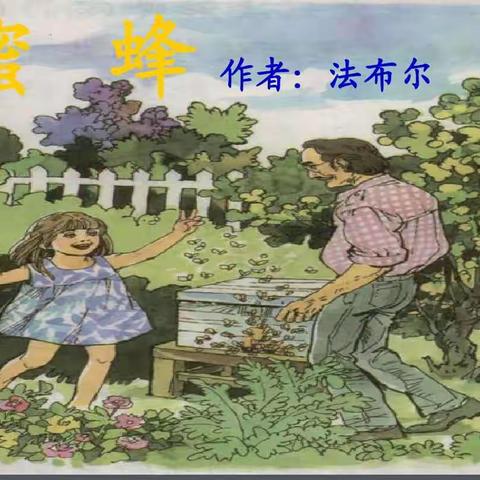 《蜜蜂》导学案