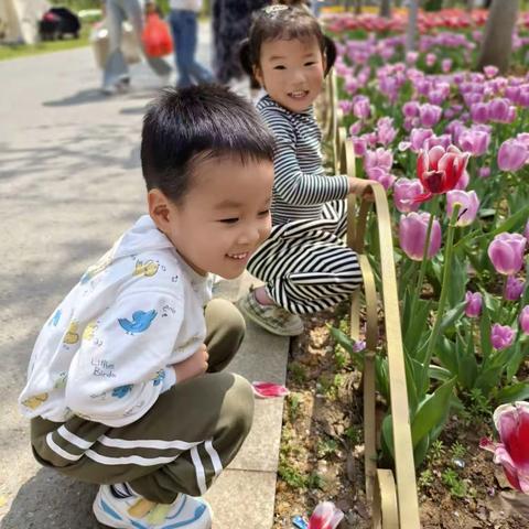 课程故事-幼见花开-小四班主题课程故事