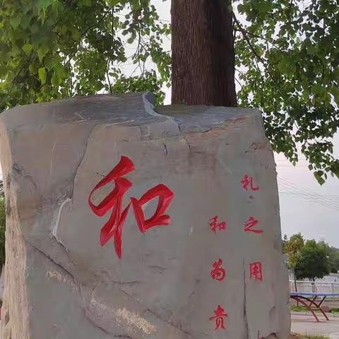 人大代表进校园  建言“双减”促成长